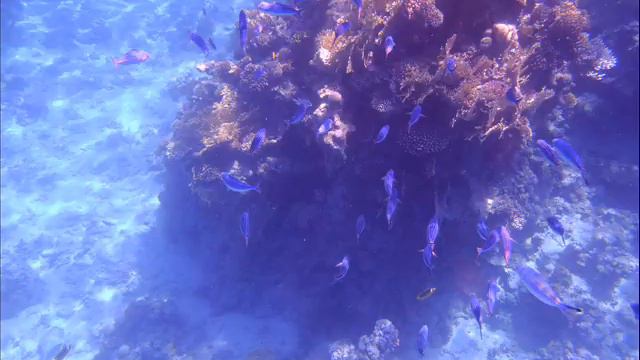 Blue Hole i Club El Faraana Reef смотреть онлайн