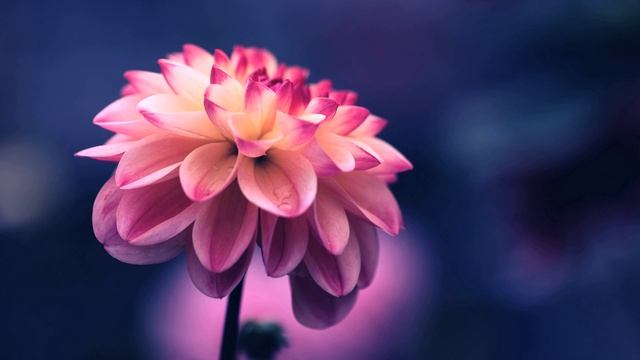 Медитация для зрения. Медитация исцеления зрения смотреть онлайн