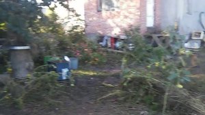 Осушка забруса на пасеке