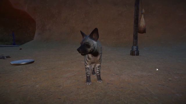 Füves élőhelyek állatkiegészítő - Grasslands Animal Pack [Planet Zoo DLC] #planetzoo #planetzoogame смотреть онлайн