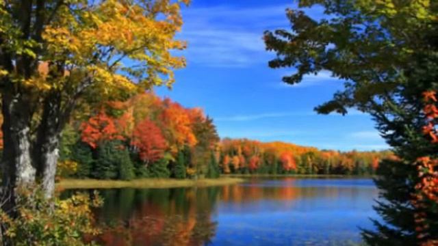 Иванна Герман  Шелест листвы