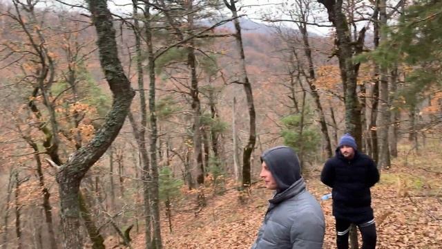 Туристический поход.Каменные грибы. Скала зеркало. смотреть онлайн