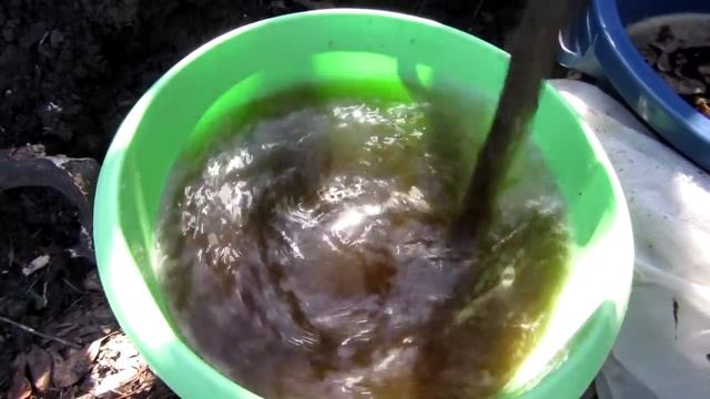 КЛУБНИКА от А до Я! ВАЖНО! Вторая подкормка и обработка смотреть онлайн