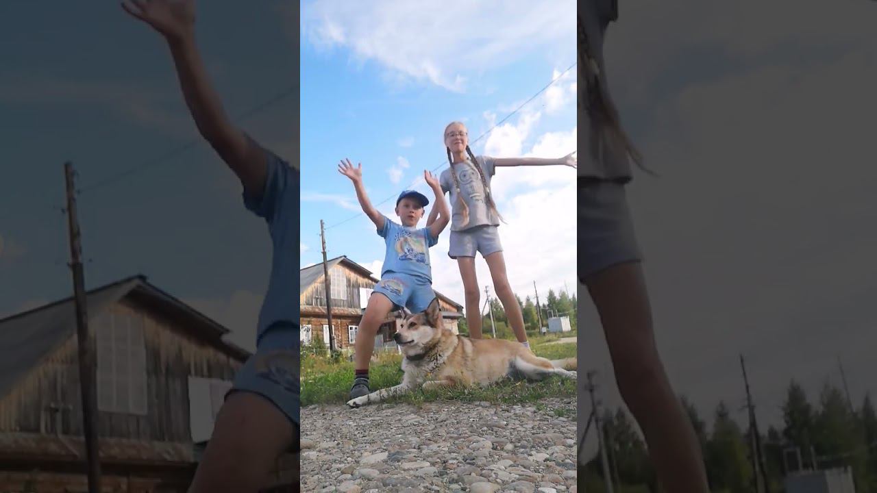 любим вас #подпишисьзайка #love #shorts смотреть онлайн