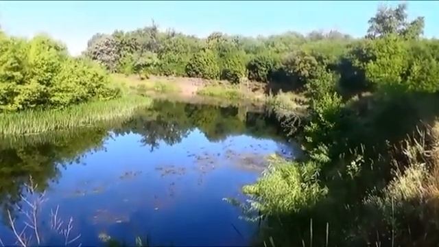 День народного единства.mp4 смотреть онлайн