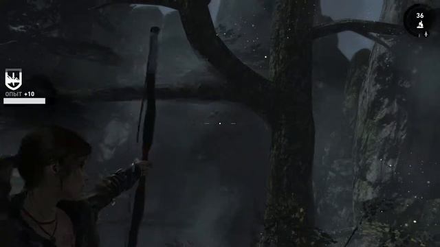 ПРИБРЕЖНЫЙ ЛЕС КАРТА СОКРОВИЩ #20 ► Tomb Raider 2013 ► Максимальная сложность смотреть онлайн