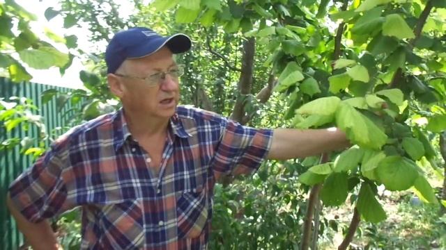 Фундук 42-19: моя шляпа пока цела. смотреть онлайн