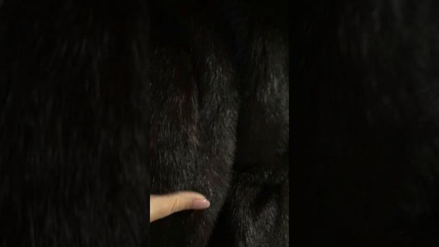 Новая. Норковая шуба р.42-44Новая. Норковая шуба р.42-44 смотреть онлайн