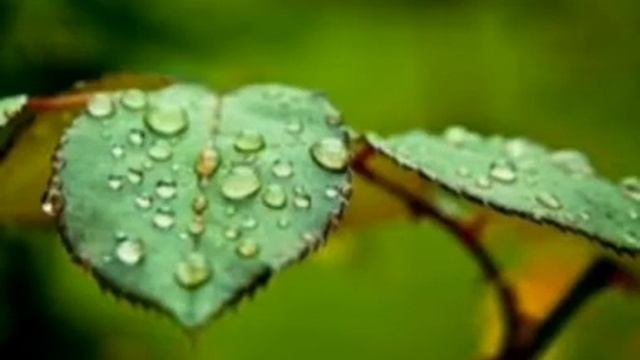 музыка без слов смотреть онлайн