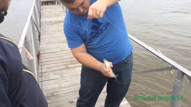 Селёдка смотреть онлайн