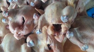 Бройлер Смена 9. С меня хватит‼