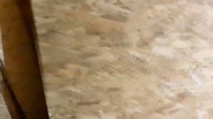 Отделка морского контейнера ОСП/OSB+ БОНУС В КОНЦЕ