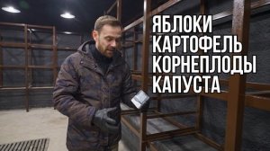 Как сделать надежные стеллажи в погребе