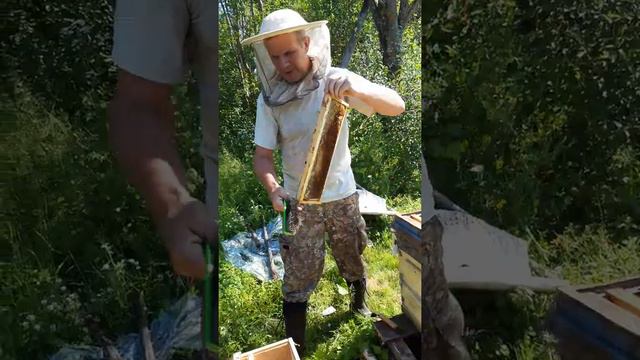 Мед качаем , Вологда смотреть онлайн