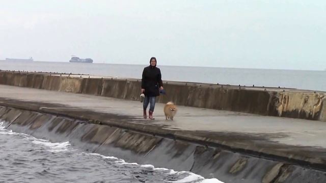 Мангальсала. Морские ворота Риги A&V смотреть онлайн