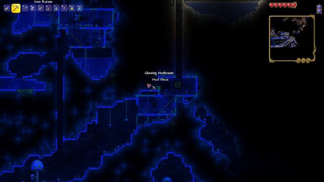[ LIVE 🔴] Calamity terraria w jeebs смотреть онлайн