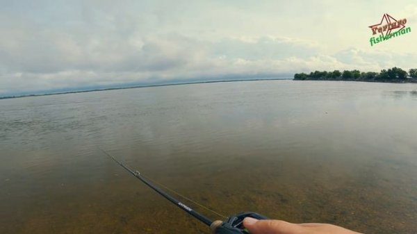 Daiwa Alphas Air TW, тест с лайтовыми приманками.