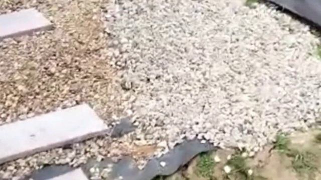 Уложили брусчатку вокруг беседки! 20 мая 2023г. смотреть онлайн