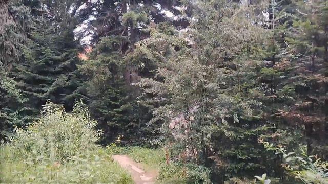 Східниця. Джерела 357 та 15. Парк Пантелеймона Цілителя смотреть онлайн