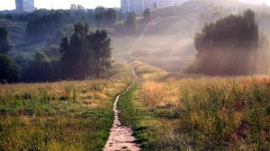 Синяя птица - «Полевая улица»