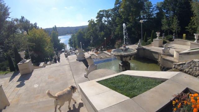 Самый красивый парк Кишинева | Осень и свадьбы | фотосессии на озере | 2021 #moldova #wedding смотреть онлайн