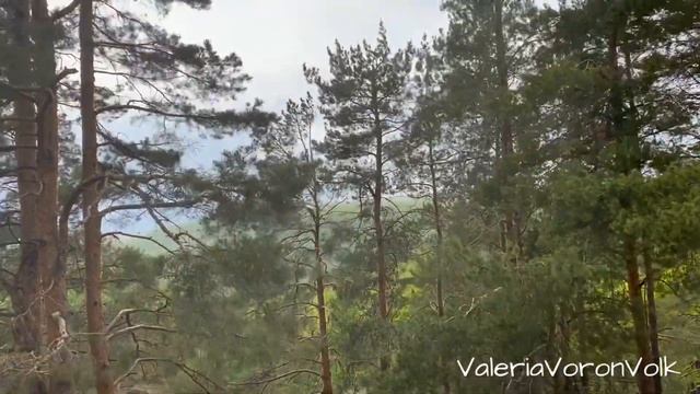 ?Новобурасский район, село Лох, Кудеярова пещера смотреть онлайн