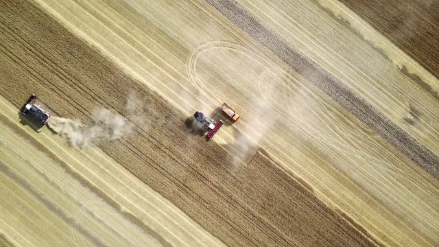 Уборка урожая 2021 с высоты птичьего полета смотреть онлайн