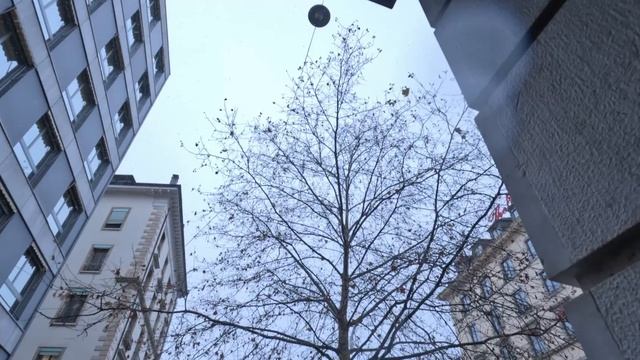 Cinematic Video Test (60fps) 4K | GOPRO HERO 11 BLACK смотреть онлайн