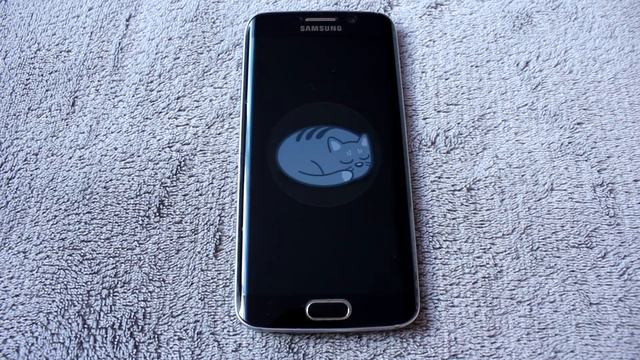 Cat in Phone - FREE android application for entertainment смотреть онлайн