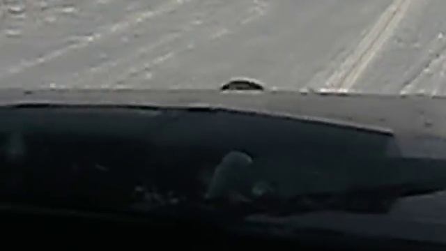 Бешеный енот / Raging raccoon смотреть онлайн