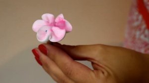 Пищевой сухой краситель распылитель