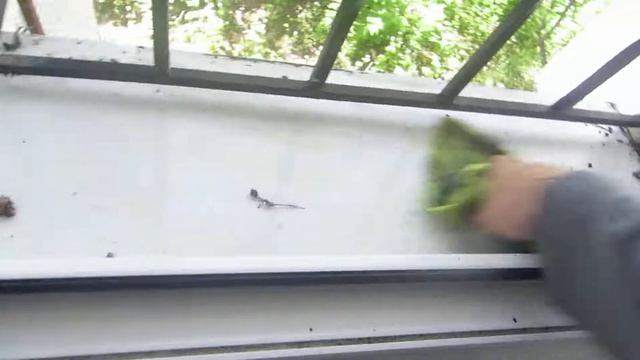 Мойка очень грязного подоконника в Симферополе. смотреть онлайн