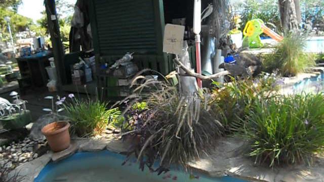 Турция Кемер  Club Otel RAMA