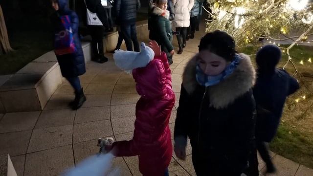 Новогодний Краснодар. Парк Галицкого. Центр города. Самые красивые места на юге смотреть онлайн