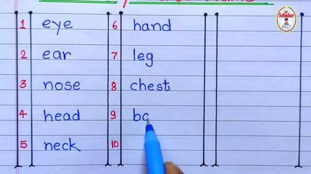 15 body parts name смотреть онлайн