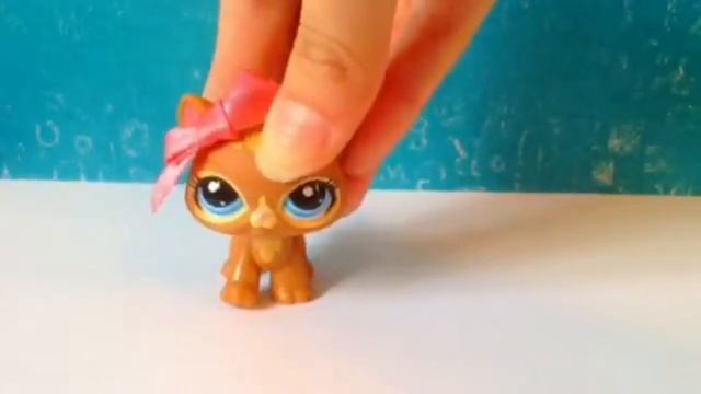 DIY: Как сделать бусы для пета?))) смотреть онлайн