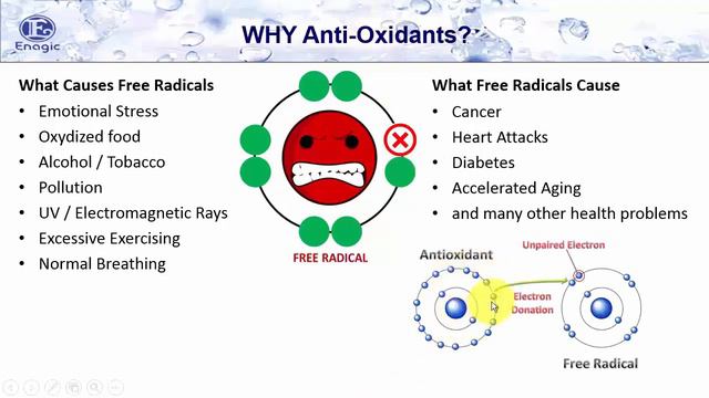 Enagic Kangen Water Presentation & Demo | India | Part I смотреть онлайн