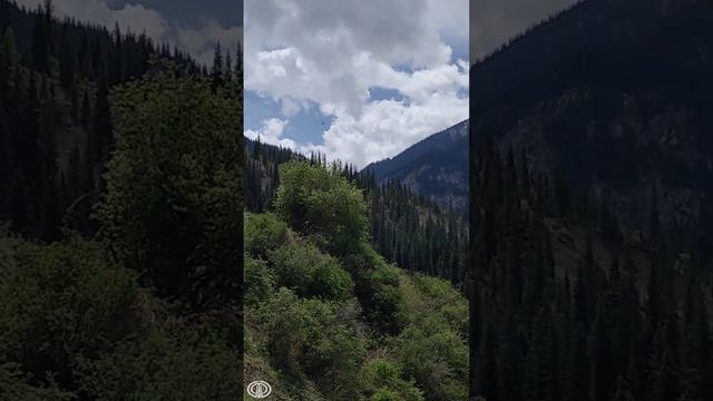 Поездка в Алмату - озеро Каинды - озеро Кольсай - Черный каньон - Лунный каньон - Чарынский каньон смотреть онлайн
