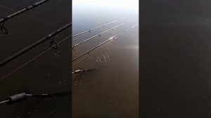 ожидание желало увидеть по крупнее рыбку