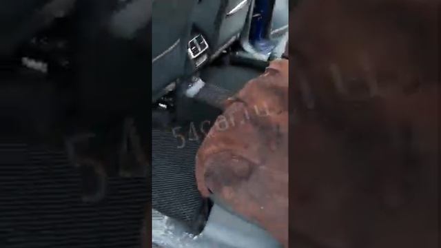 коврики eva 3d с бортиками Шкода Кодиак обзор смотреть онлайн