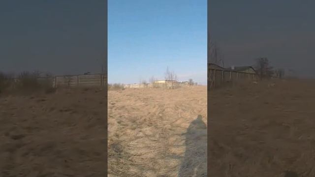 Здесь птицы не поют, деревья не растут... смотреть онлайн