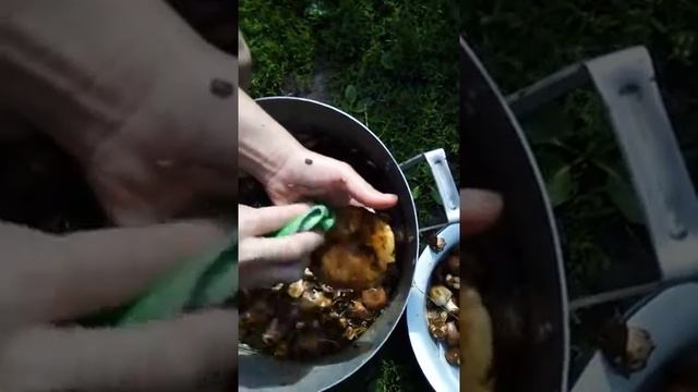 как помыть грибы салфеткой от Гринвей? смотреть онлайн