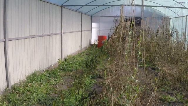 Домик за 100 000 руб // Обзор 22 октября // Красный Рог смотреть онлайн