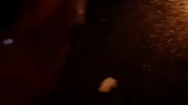 У каждого чиновника должен быть такой гос номер) смотреть онлайн