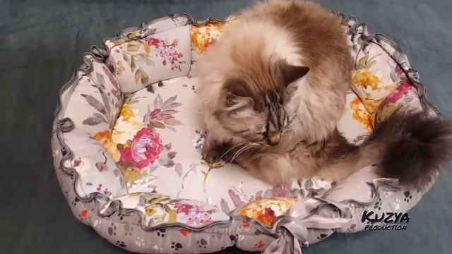 Oval bed for dogs and cats with flowers | Овальная лежанка трансформер для собак и котов с цветами смотреть онлайн