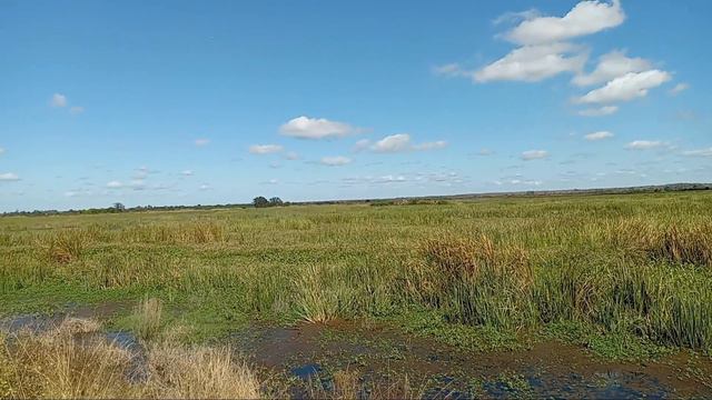 Savannah Wildlife Refuge #JEEP trip смотреть онлайн