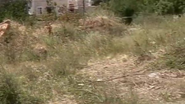 Участок в Кореизе. Крым.