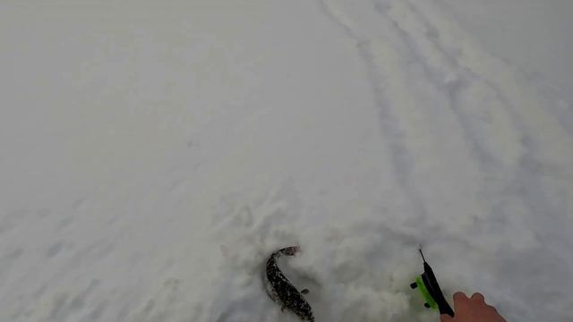 Хорошая рыбалка в глухозимье. Едем на заброшенный вагон. смотреть онлайн