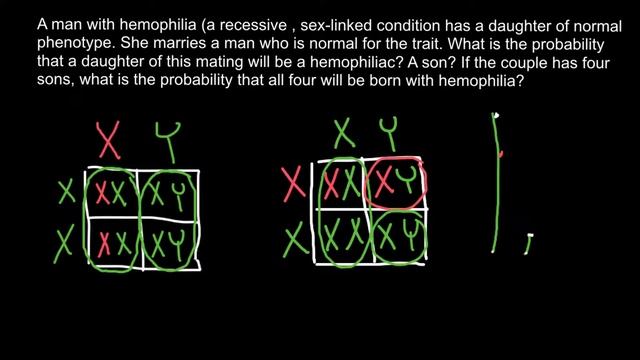 Hemophilia Probability Problem and Solution смотреть онлайн
