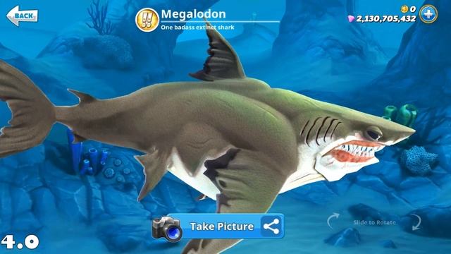 Hungry Shark World - New Shark Redesigns (Old vs. New Comparison) (4.2 Update) (READ DESC) смотреть онлайн